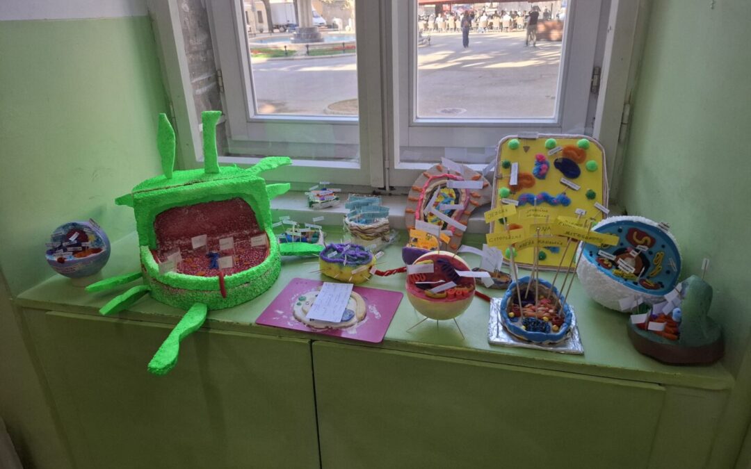 Kad znanje postane kreativnost – stanice u rukama naših sedmaša!